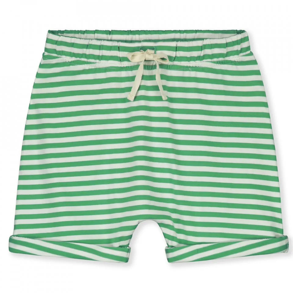 Gray Label Shorts 